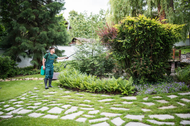 Best Best Pest Control Companies  in Indian Lake, MO