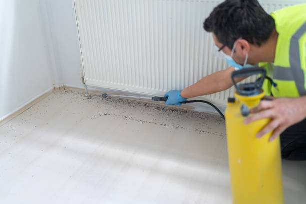 Best Bed Bug Extermination  in Indian Lake, MO